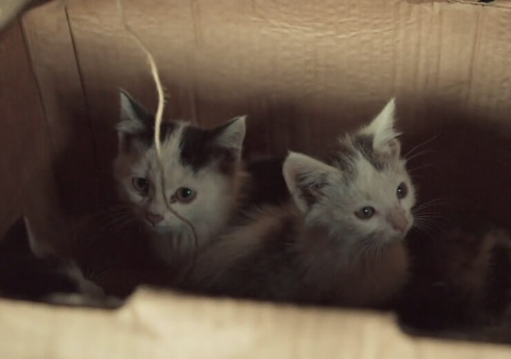 プロダクションノート写真4